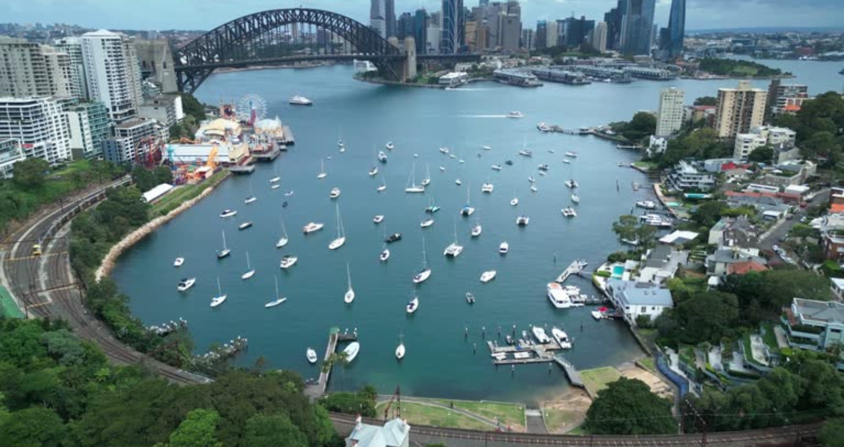 large shark attack inside Sydney