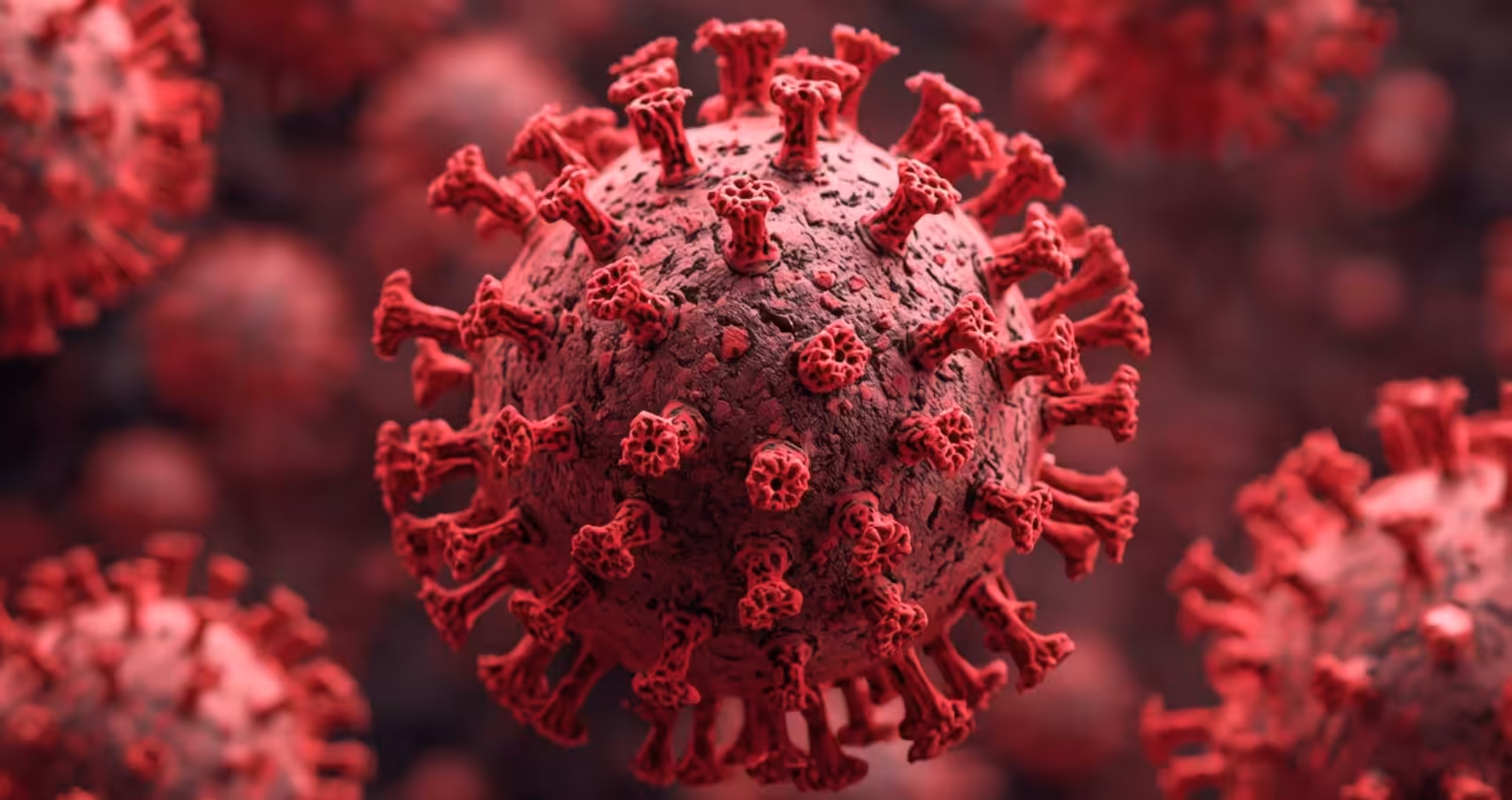 Poliovirus found in Perth sewage