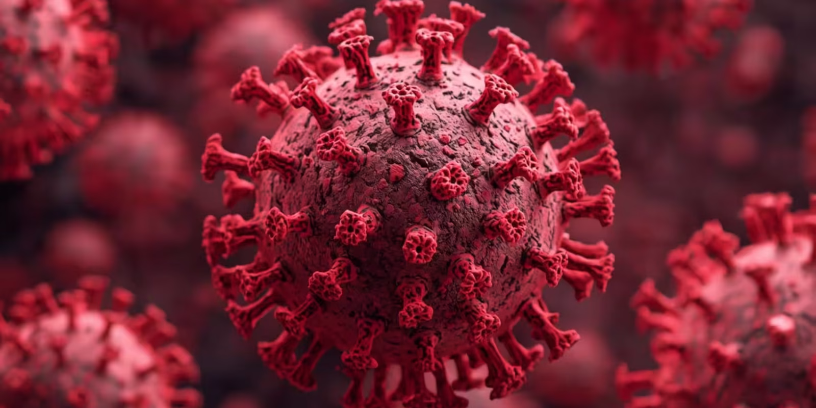 Poliovirus found in Perth sewage